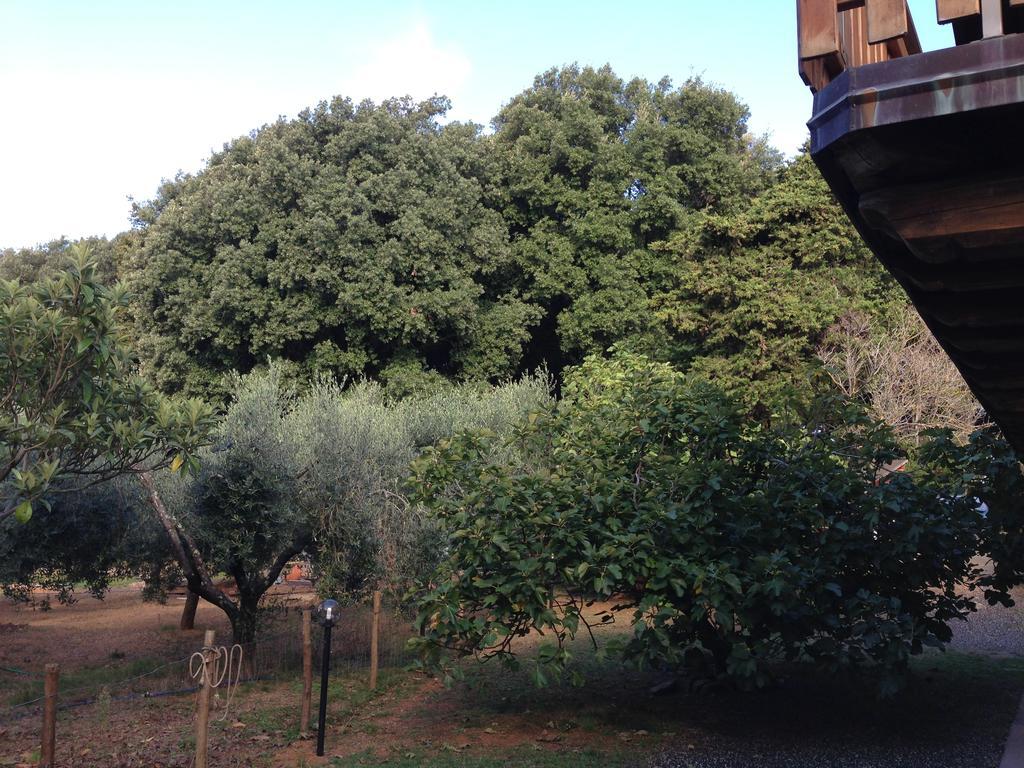 Agriturismo "La Rosa Canina" Bed & Breakfast Lerici Exterior photo